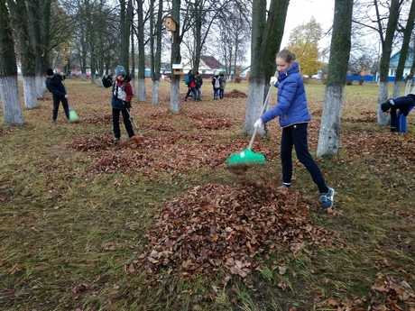 IMG 20181110 1026441