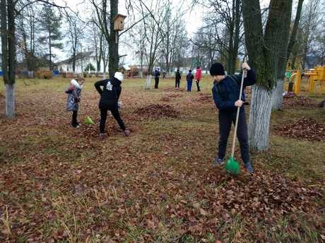 IMG 20181110 1037411