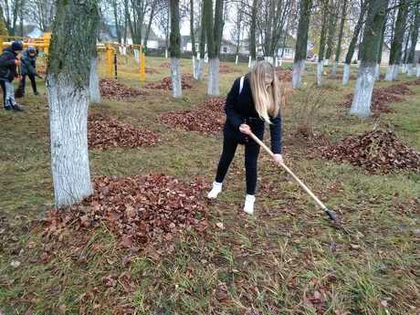 IMG 20181110 1038081