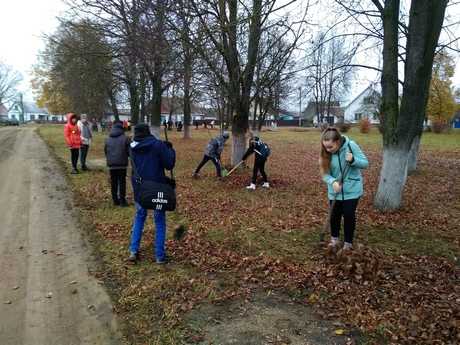 IMG 20181110 1045321