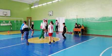 IMG 20190223 1030081