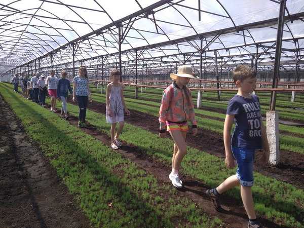 IMG 20170620 1053341