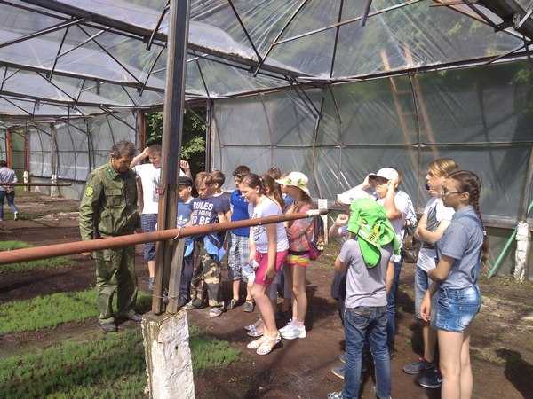 IMG 20170620 1054311