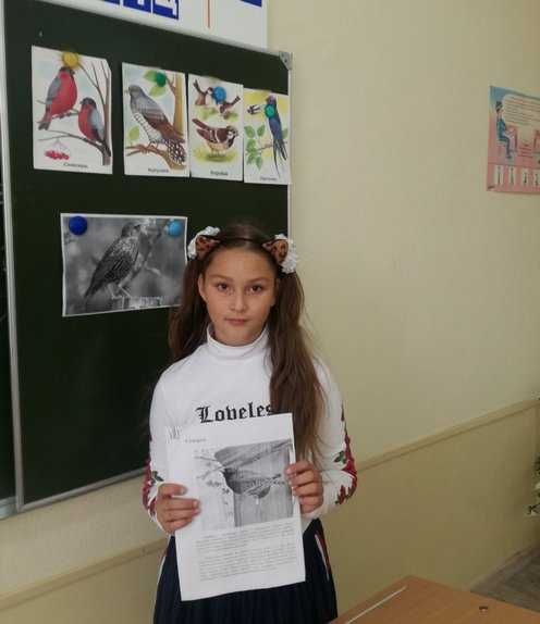 IMG 155e1ab246386199cb550a824dd660a1 V