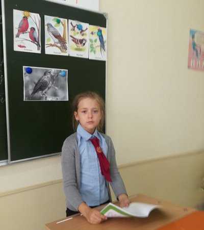 IMG f02f6b599e32fd022f59ad84fd40acae V