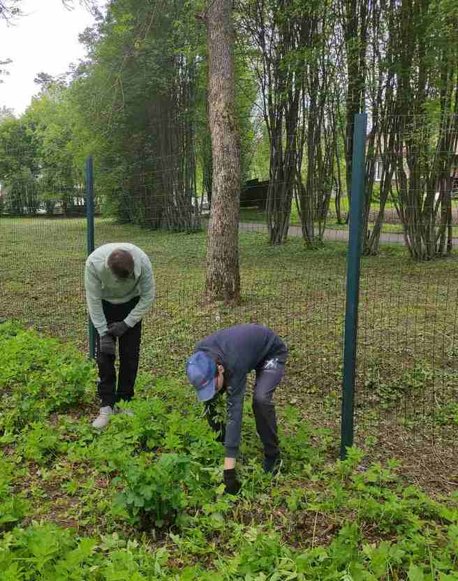 изображение viber 2022 06 02 15 09 11 466