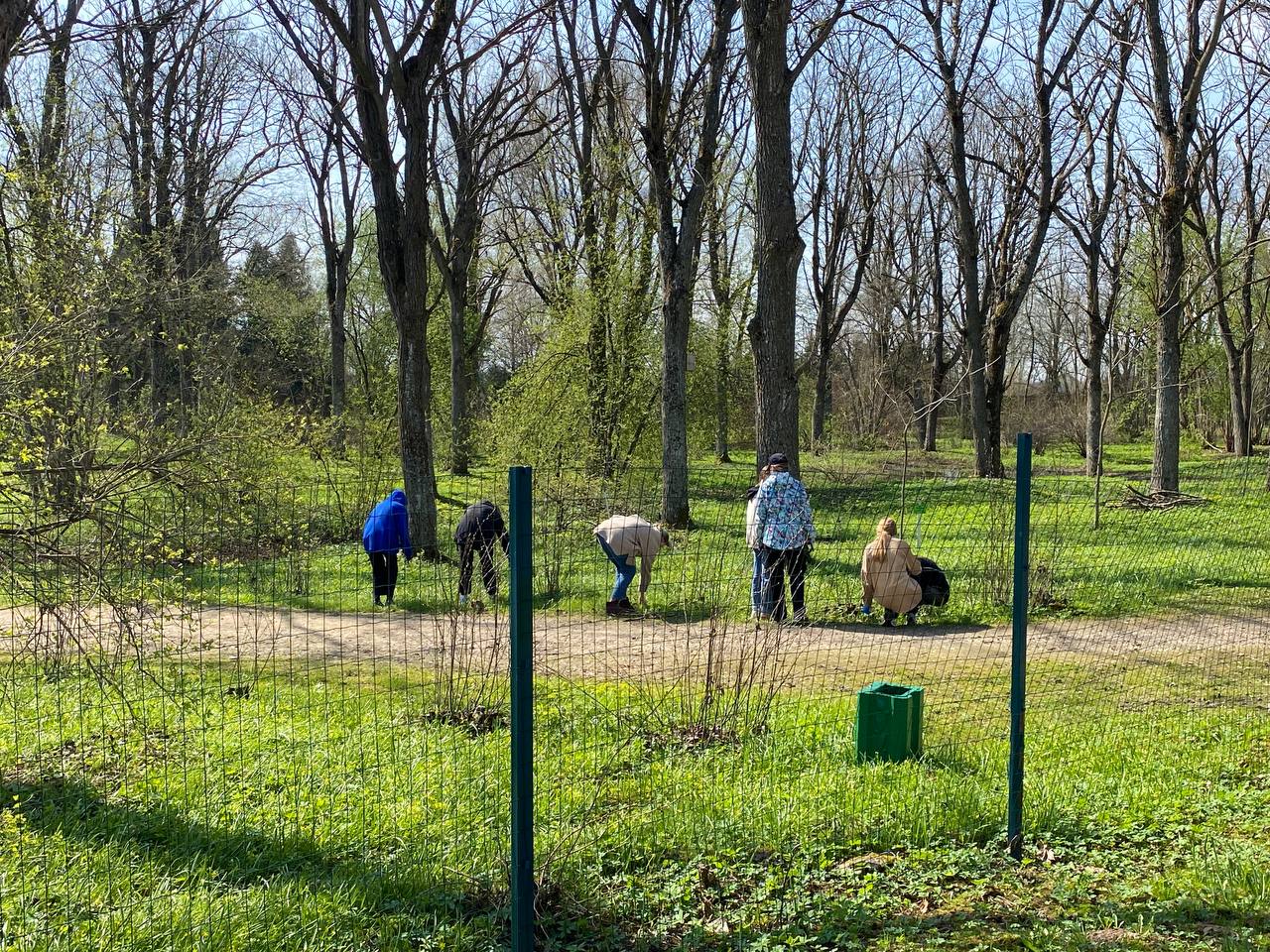 photo 5330571799437625524 y