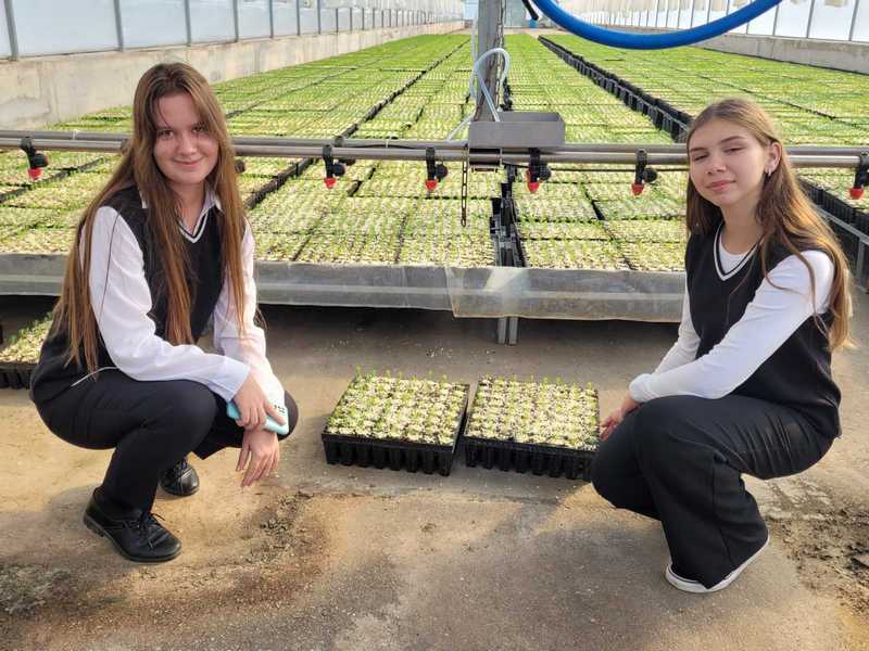 изображение viber 2023 09 23 16 15 06 527