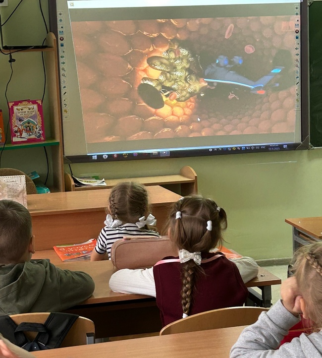 изображение viber 2023 11 18 11 11 09 920