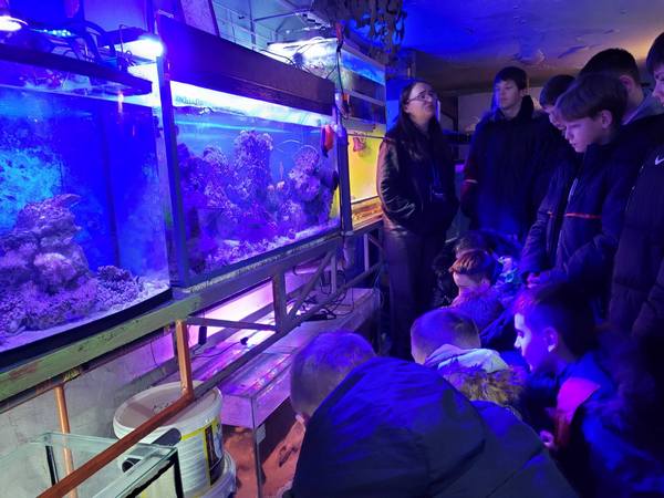 изображение viber 2023 12 11 15 05 47 404