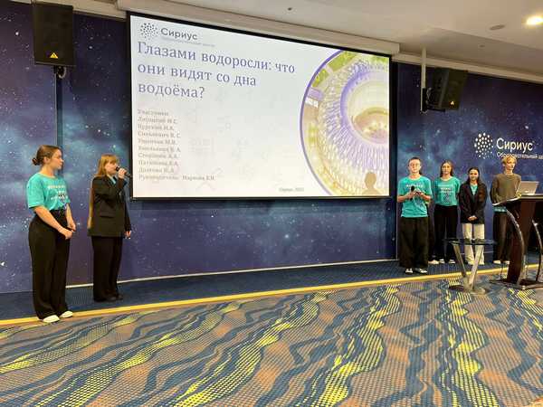 изображение viber 2023 12 24 14 33 31 086