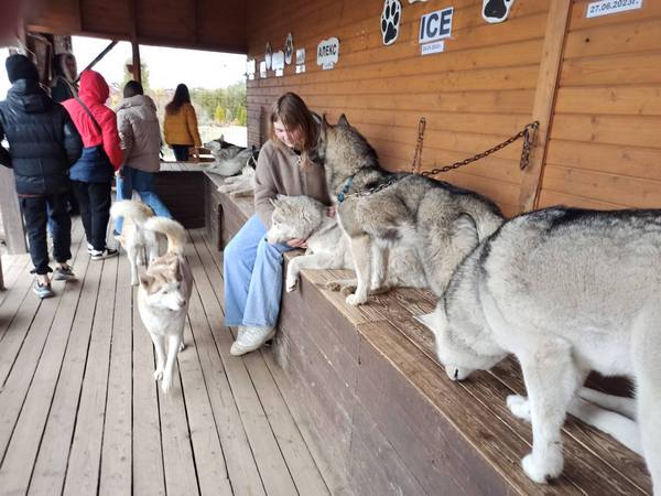 изображение viber 2024 03 29 11 57 05 380