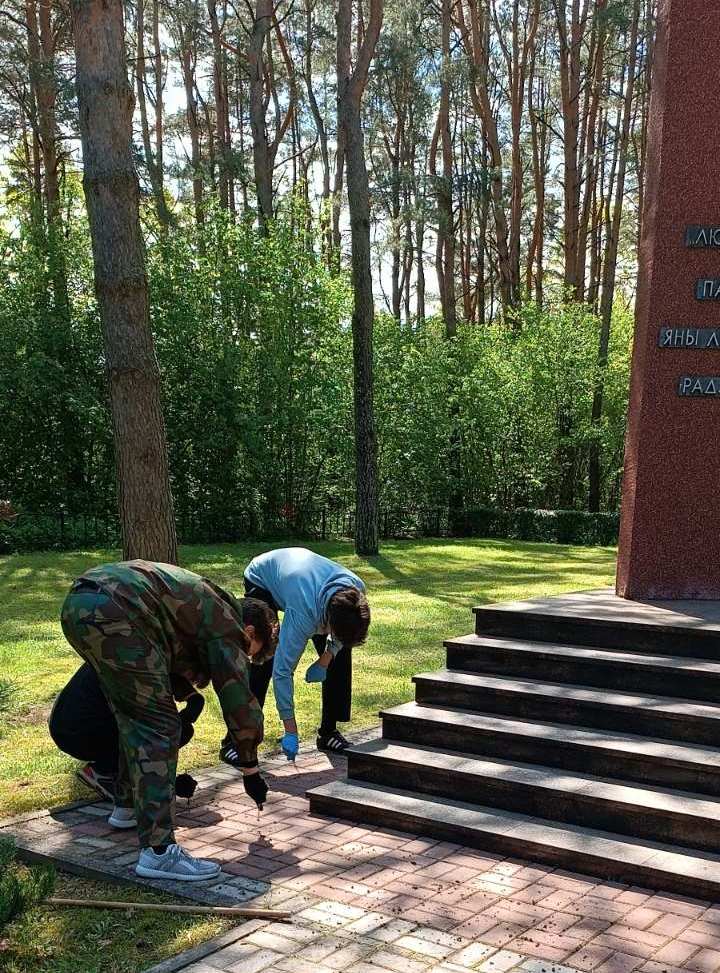 изображение viber 2024 05 08 16 10 42 008