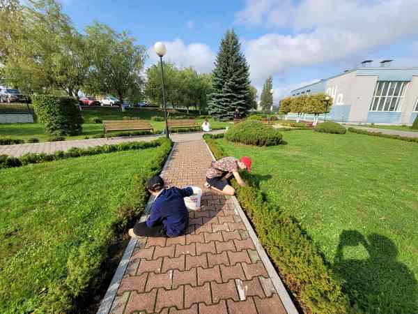 изображение viber 2024 08 26 14 08 48 510