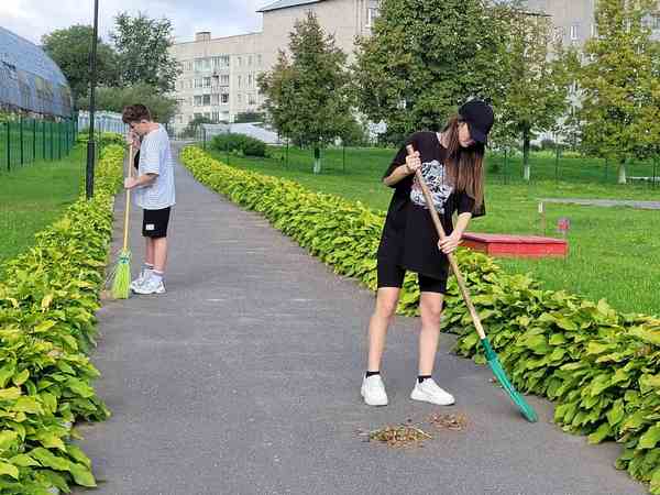 изображение viber 2024 08 26 14 08 48 608