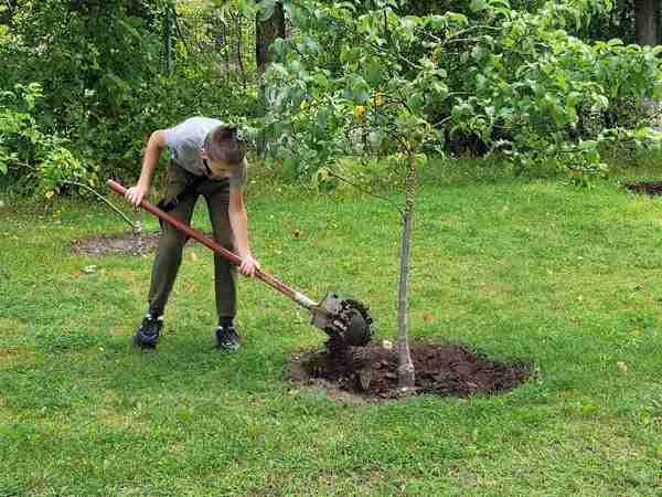 изображение viber 2024 08 26 14 08 48 685