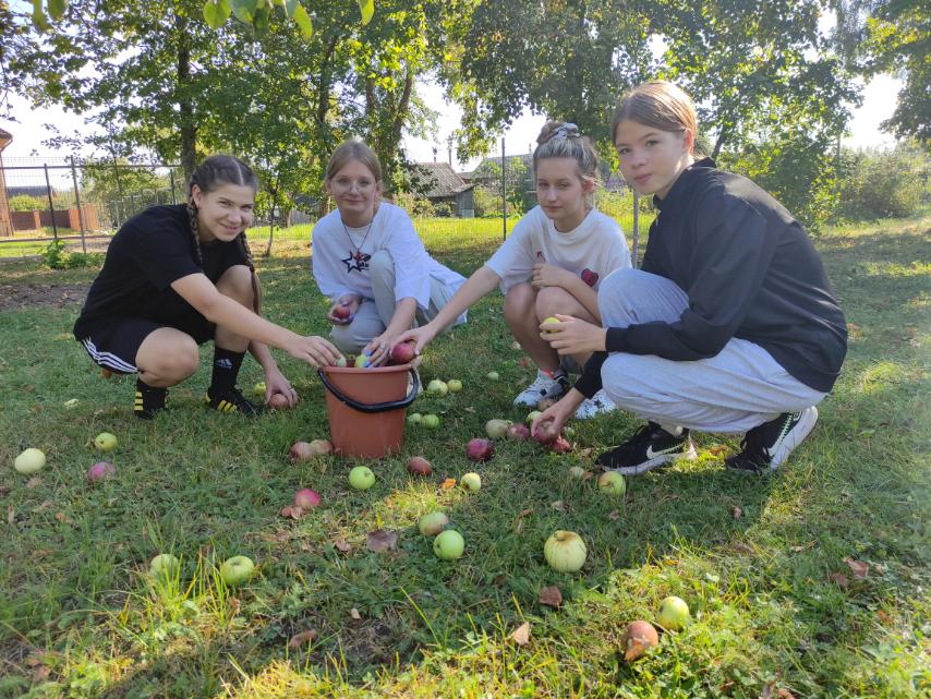 изображение viber 2024 09 20 16 31 00 710