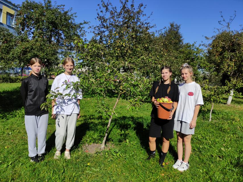 изображение viber 2024 09 20 16 31 01 189