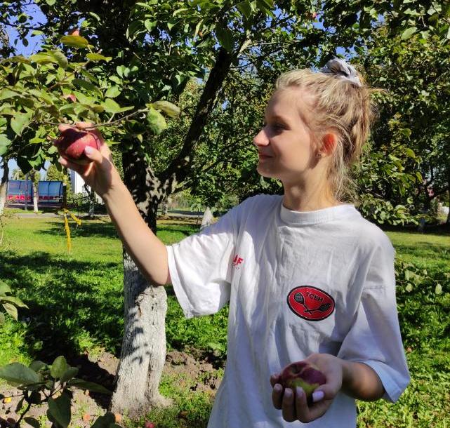 изображение viber 2024 09 20 16 34 23 771