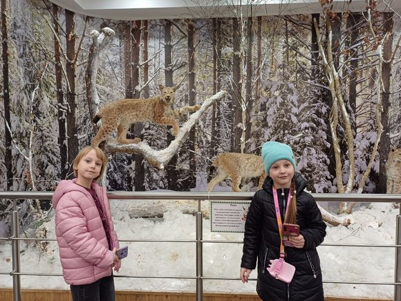 изображение viber 2024 11 03 19 49 49 515