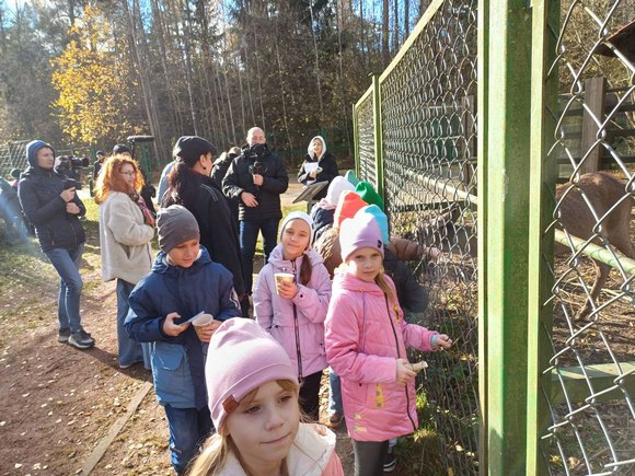 изображение viber 2024 11 03 19 51 12 900