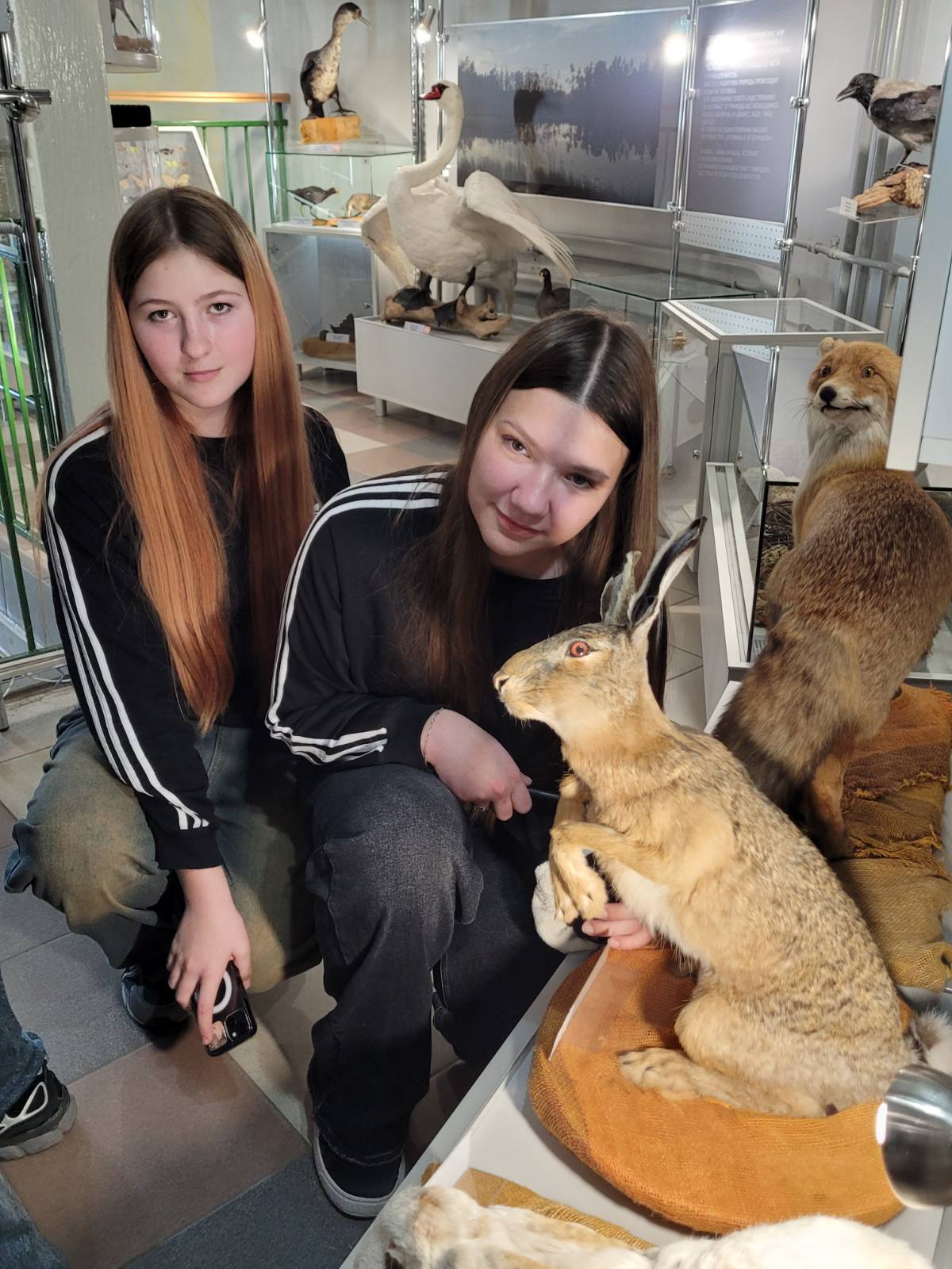 изображение viber 2025 04 30 22 56 03 581