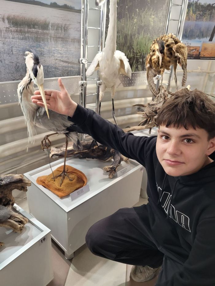 изображение viber 2025 04 30 22 56 03 687