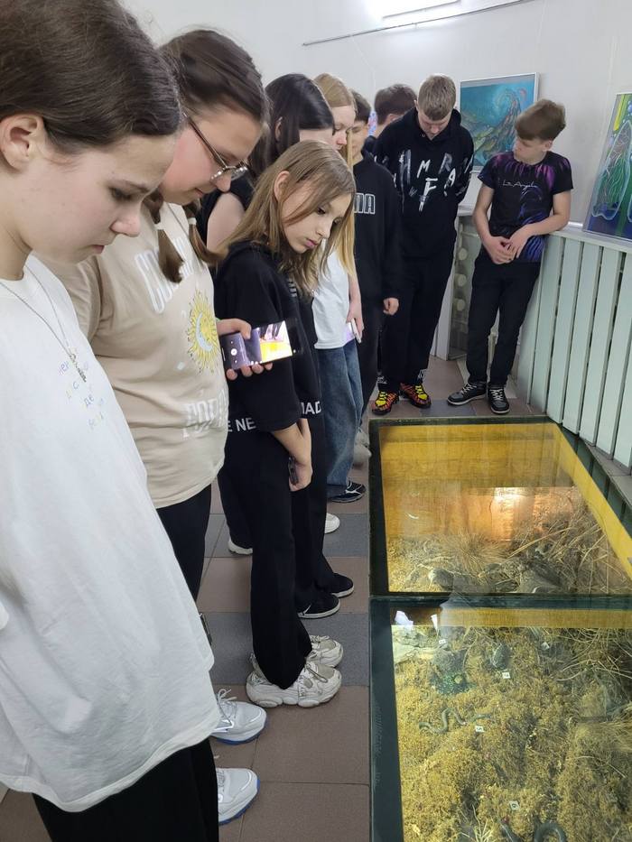 изображение viber 2025 04 30 22 56 03 728