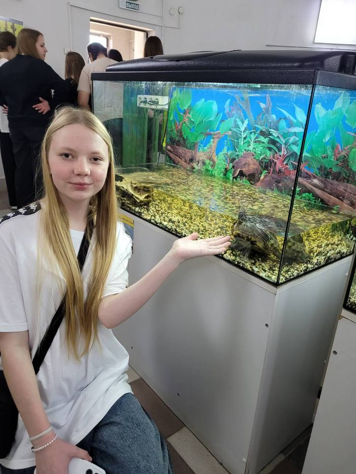 изображение viber 2025 04 30 22 56 03 762