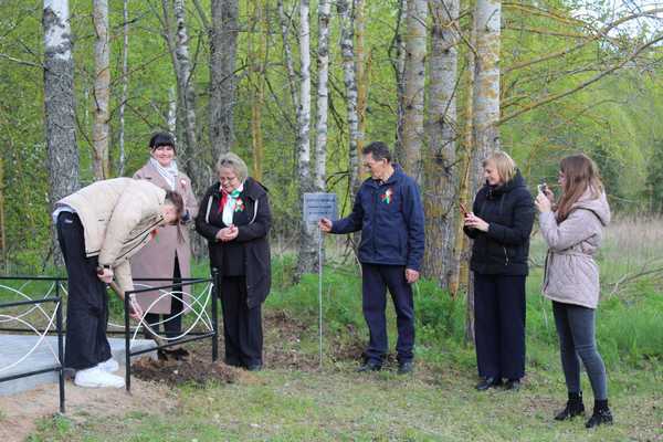 изображение viber 2025 05 11 10 38 26 656