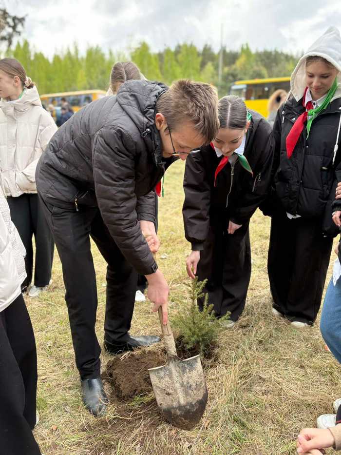 изображение viber 2025 05 11 10 38 31 221