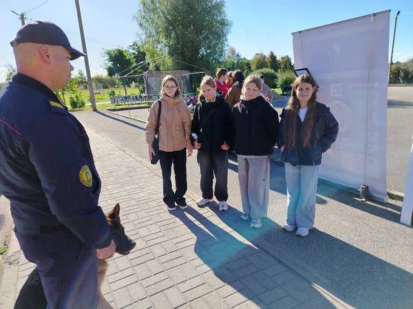 изображение viber 2025 09 27 13 38 20 611