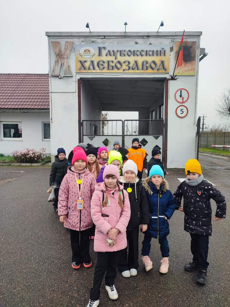 изображение viber 2025 11 12 12 12 18 657