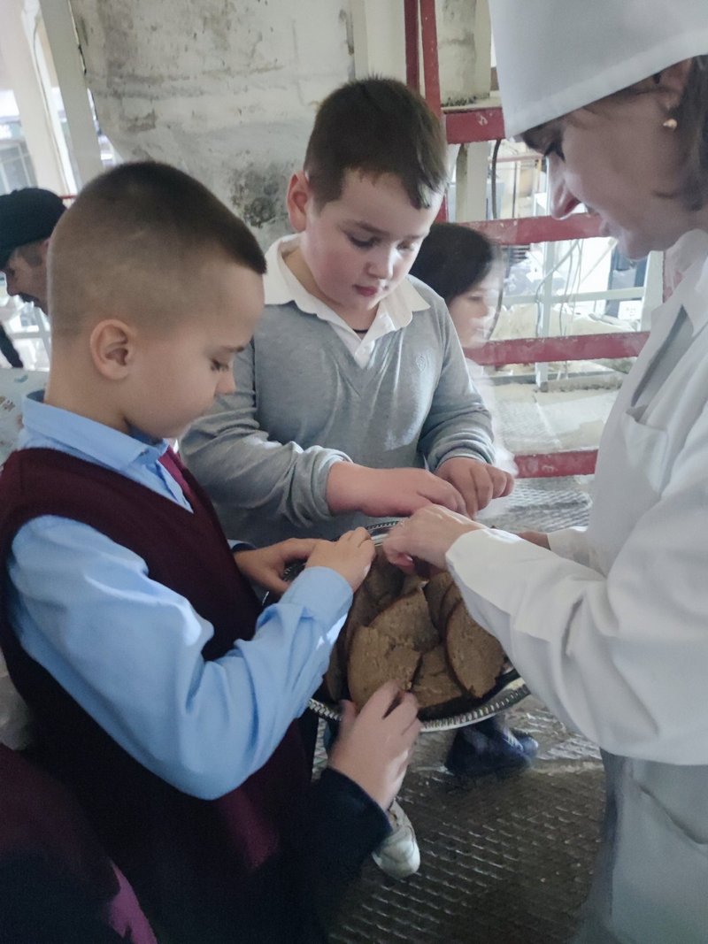 изображение viber 2025 11 12 12 13 39 836