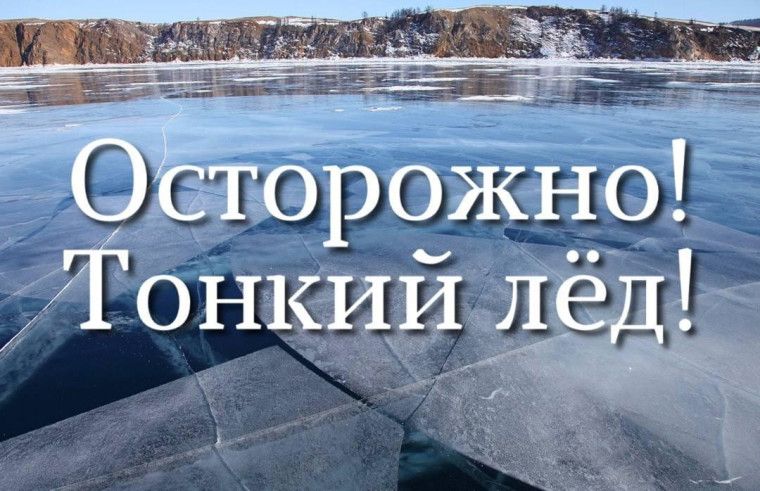 изображение viber 2026 03 05 12 17 59 837