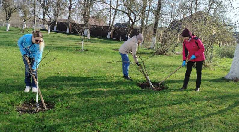 изображение viber 2026 04 18 11 43 32 209