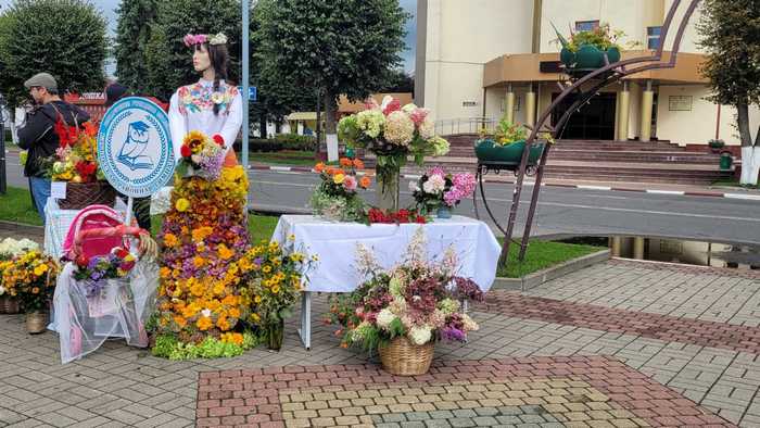 изображение viber 2026 09 25 17 26 49 831
