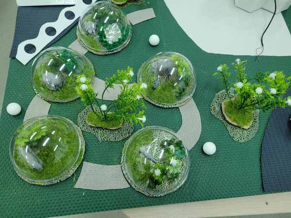 6 2025 12 11 07 23 05 947