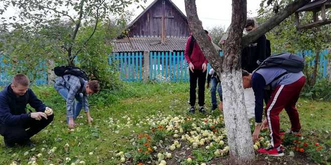 IMG 1120200919 104756