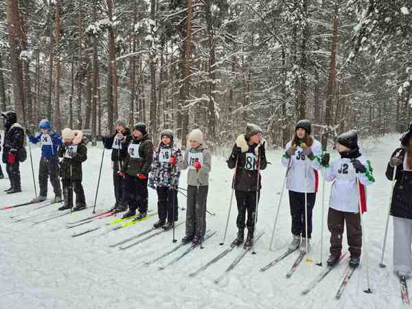 изображение viber 2026 02 05 17 16 36 718