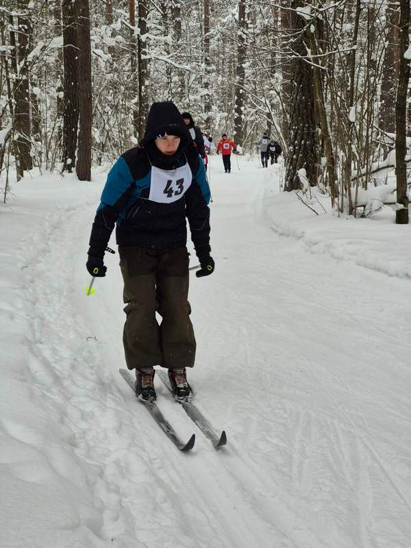 изображение viber 2026 02 05 17 16 36 946